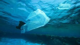 Good news as huge 80% drop in carrier bags on UK beaches