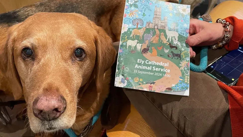 Cathedral Goes Wild For Annual Pet Blessing