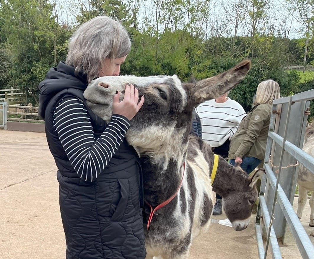 Devon donkeys revitalise NHS staff