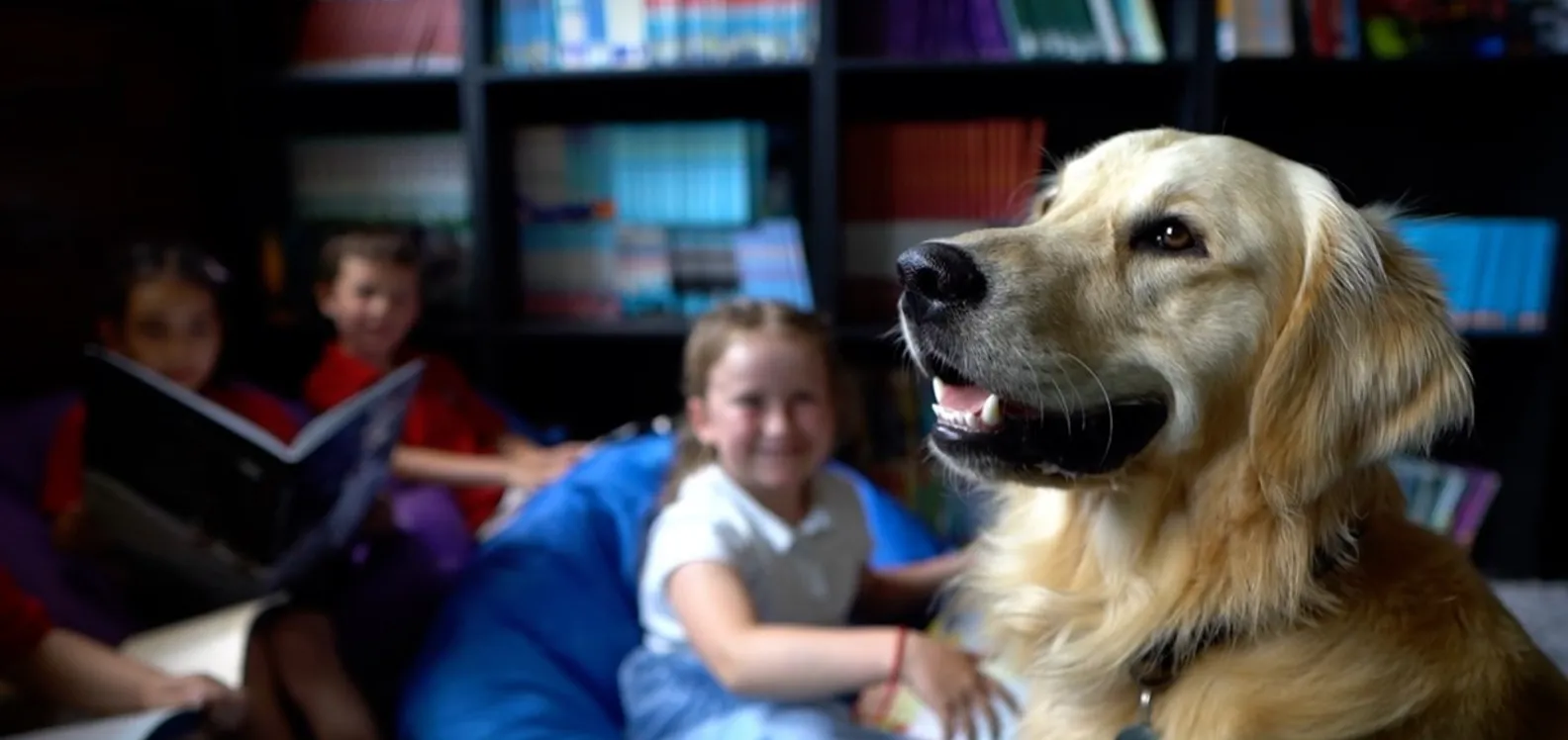 Creating Safe And Happy Classrooms: New Alliance Offers Expert Guidance On Introducing School Dogs