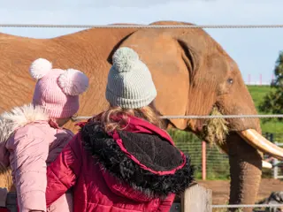 Kids Go Free At Noah's Ark Zoo Farm This January