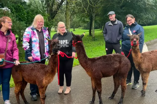 Swan Lodge's sponsored llama walk helps school project