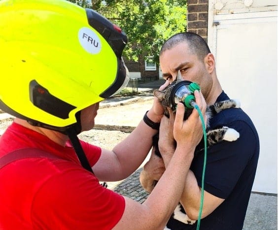 Good news for cats as firefighters unveil special oxygen masks