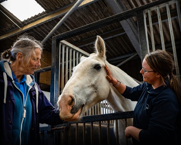 Adventures for all on Exmoor