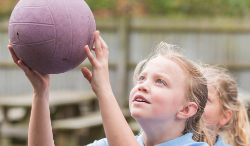 Exciting news for netball enthusiasts in Somerset!