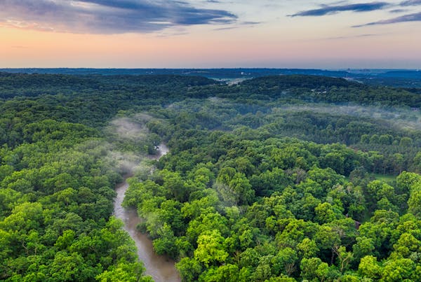 Good news on healthy life and aging… from an Amazon rainforest tribe