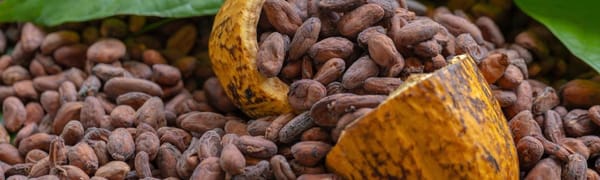 Fairtrade launches new Living Income Reference Price tool