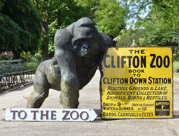 Bristol Zoo Raises Over £200,000 in Historic Auction of Zoo Memorabilia