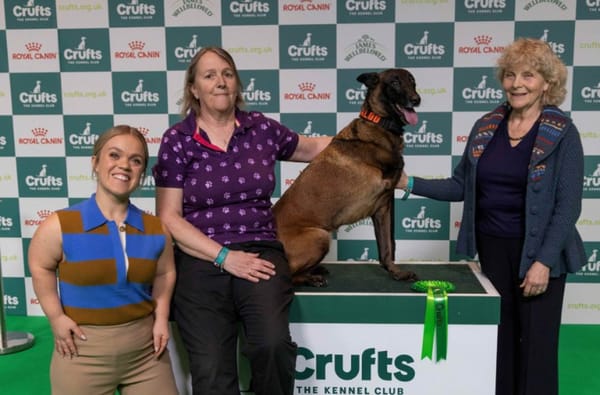 Crufts Announces The Nation's Top Canine Hero: Baloo