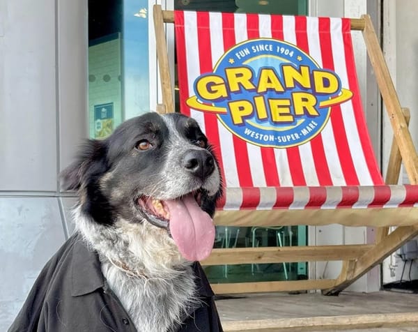 Dogs Now Welcome at Grand Pier – and There's a Game Just for Them!