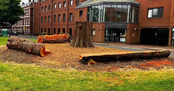 Felled Tree Finds New Purpose as Benches Loved by Locals