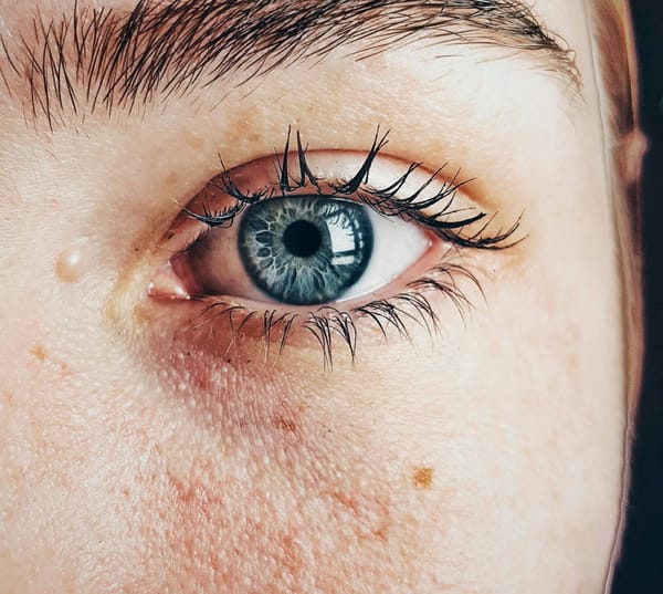 AI and Genetics Reveal New Insights into How the Eye Develops