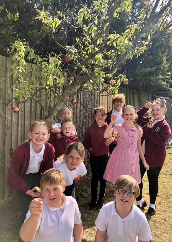 Pupils make bird feeders in launch of new wellbeing and community club