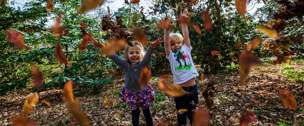 Forestry England’s ultimate list of low-cost, fun activities to do this autumn half-term