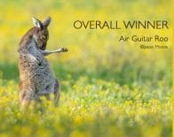 Funny kangaroo pic scoops wildlife 2023 top prize