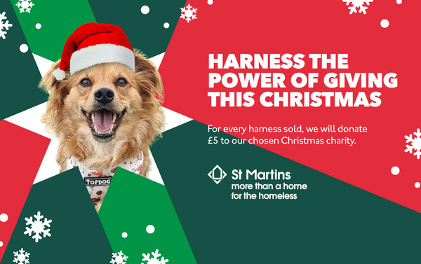 Harness the power of giving - with £5 from all harness sales going to homelessness charity